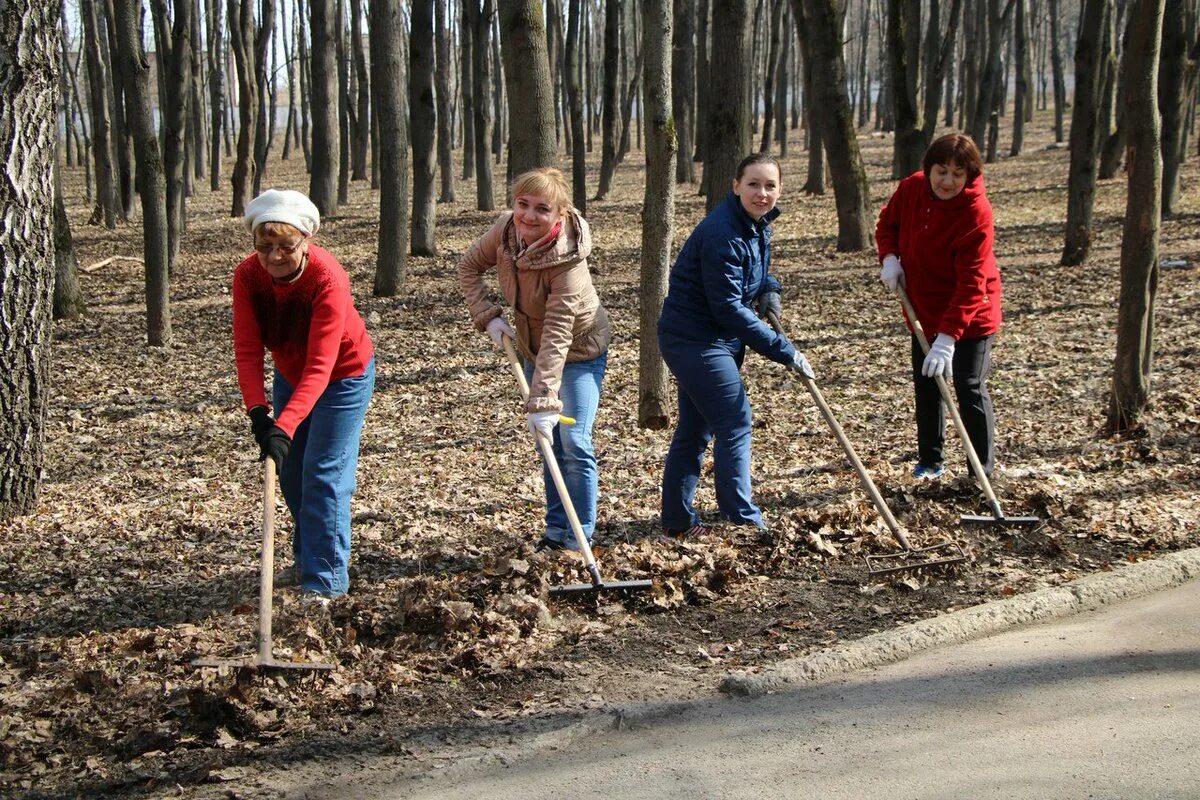 Субботник статья. Субботники плавск. субботник. современный субботник. веселый субботник.