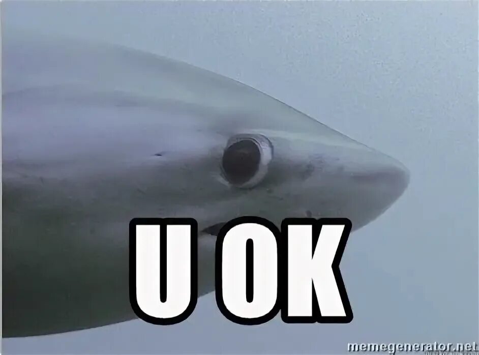 A u ok