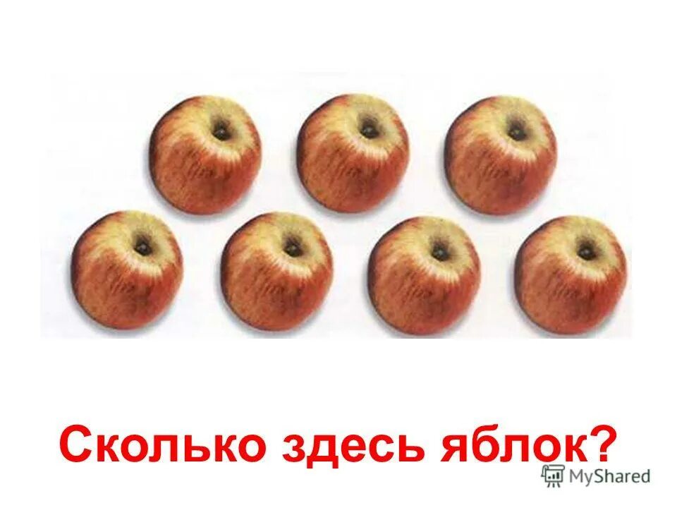 Яблоки десятки. Семь яблок. Сколько здесь яблок. Яблоко со всех сторон. 7 Яблок для детей.