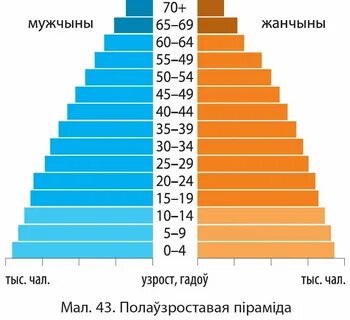 Ит стиліндегі жетілген есектер
