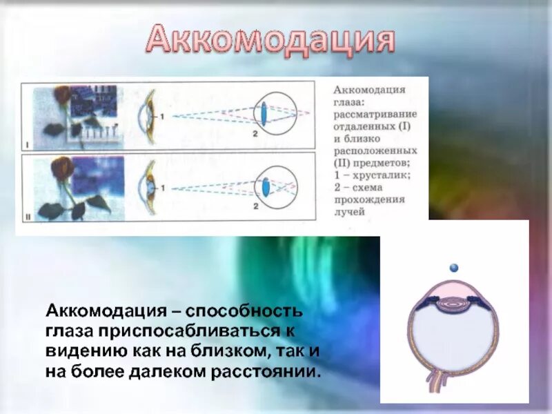 Силой аккомодации. Механизм аккомодации глаза. Аккомодация глаза схема. Явление аккомодации. Аккомодация это способность глаза.