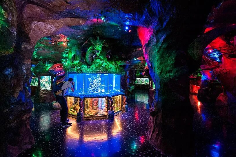 Евпатория достопримечательство. Куда пойти в евпатории. Город евпатория аквапарк лукоморье. Аквапарк у лукоморья евпатория. Красивые места в евпатории для фотосессии.