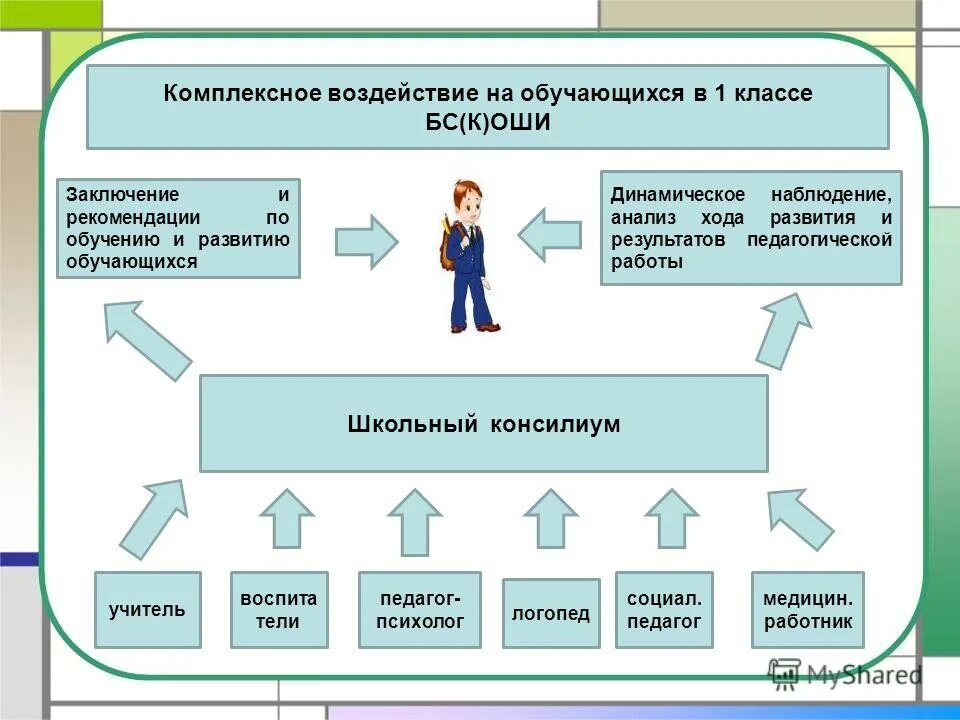 Учебные направления в школе