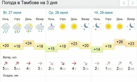 Гисметео тамбовский гиагинский