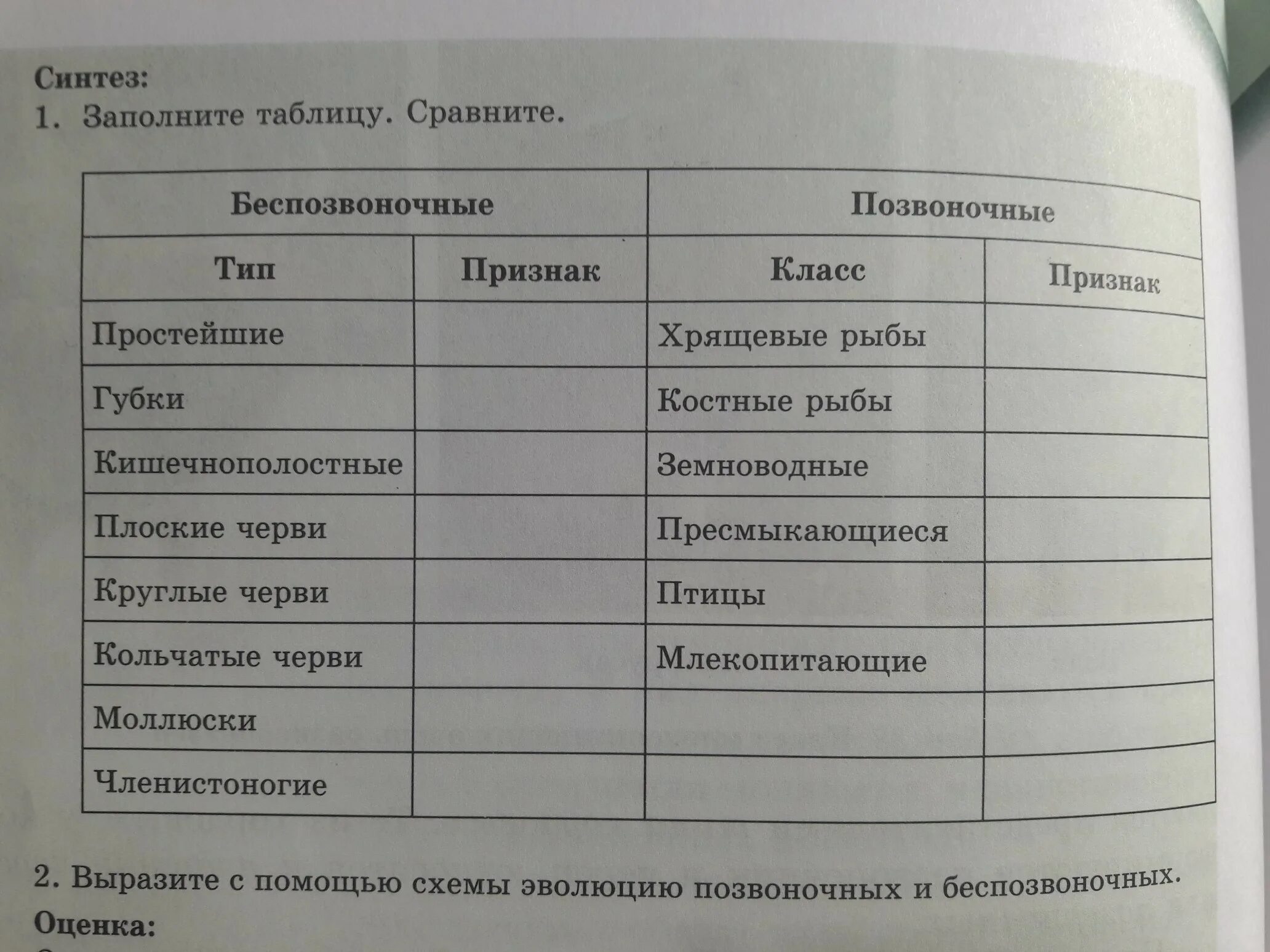 Заполните сравнение таблицы. Заполните таблицу сравните. Заполните таблицу Синтез. Сравнительная таблица рыб. Сравни рассуждение братьев заполните таблицу и сравните.