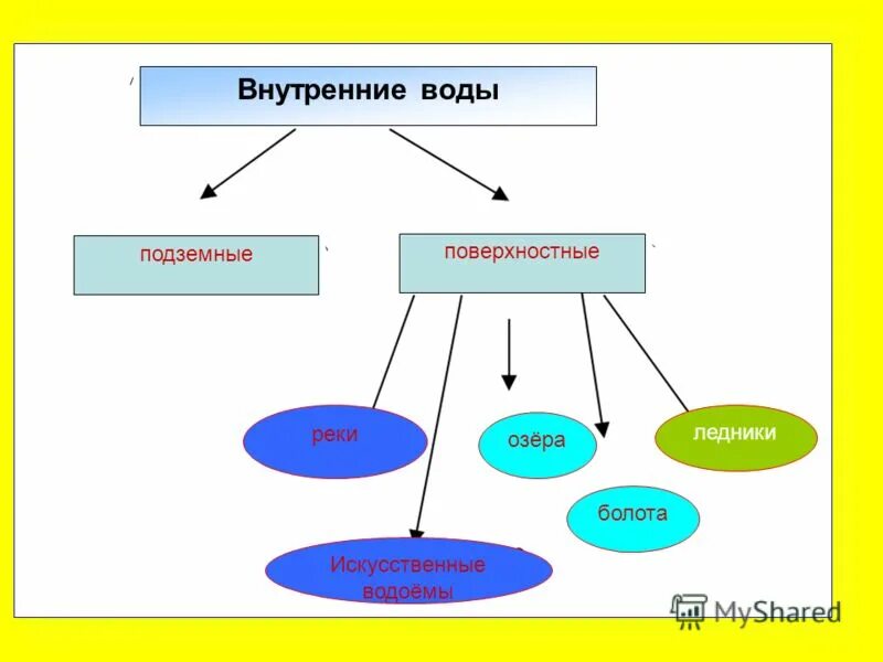 типы внутренних вод