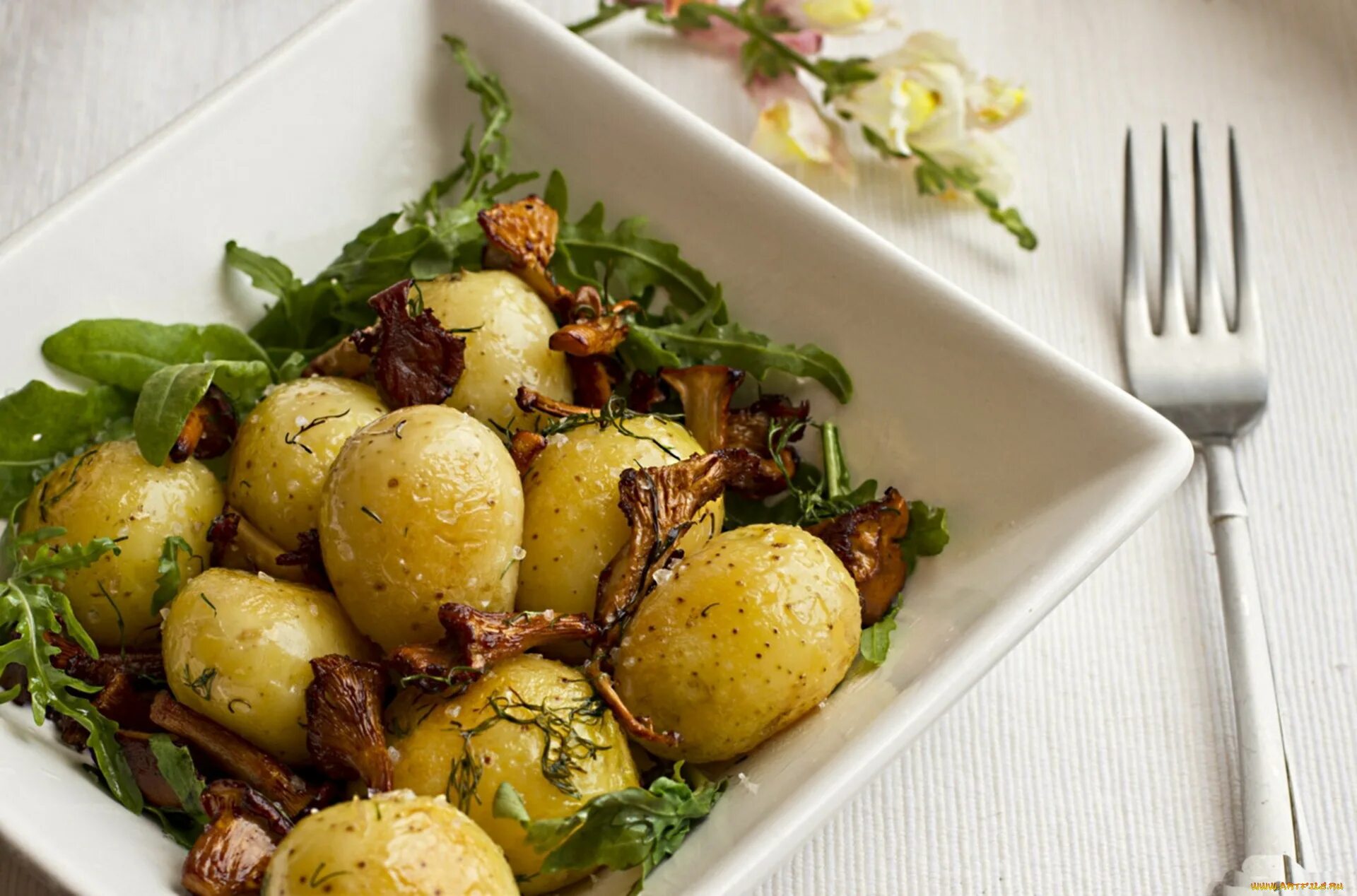 В каких блюдах используют картофель. Блюда из картофеля. Вареная картошка. Картофель с грибами. Картошечка с грибами.
