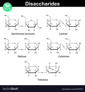 Трегалоза это
