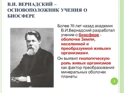 Какова геологическая роль живых организмов
