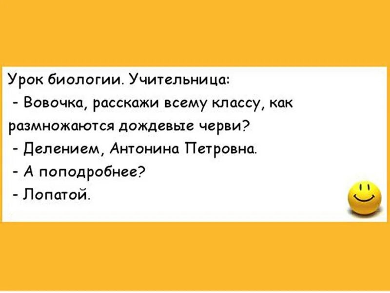 Анекдоты про Вовочку. Анекдоты про Вовочку самые смешные. Вовочка на уроке литературы. Анекдоты сценки. Анекдоты школу очень смешные до слез