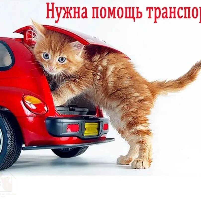 Кому нибудь нужна помощь