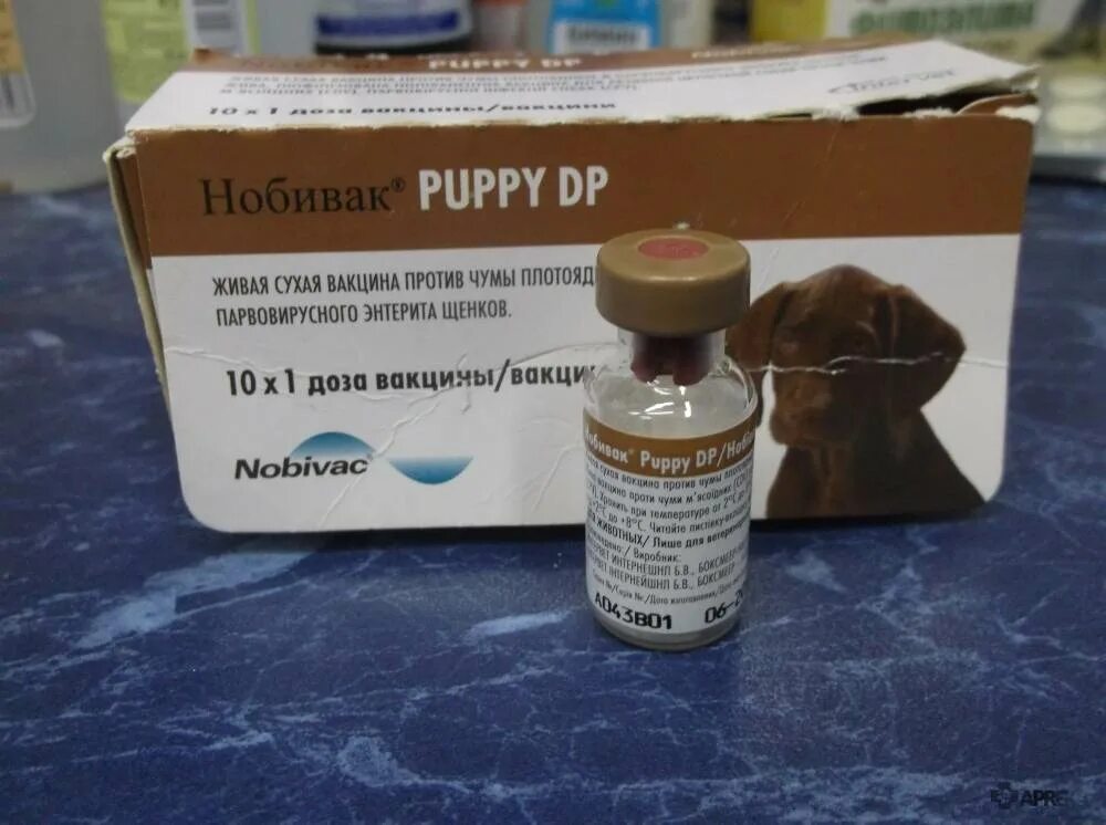 Вакцина гексаканивак. Нобивак DHPPI Lepto. Нобивак Puppy dp (1фл-1д). Прививка Нобивак Паппи. Нобивак Паппи для щенков.