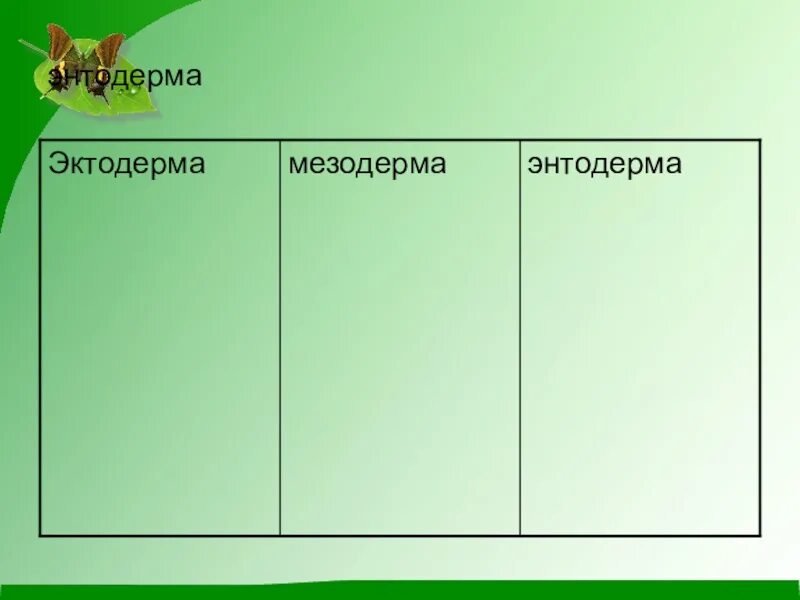 Рост и развитие животных 6. Проект на тему рост и развитие животных. Схемы по рост и развитие животных. Развитие животных 6 класс. Рост и развитие животных 6 класс.