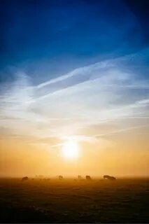 Moving sun
