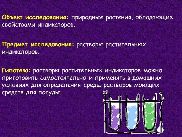 Исследовательский проект "В мире индикаторов" - химия, прочее