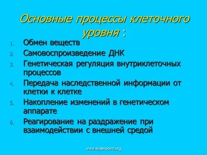 Почему основные клетки