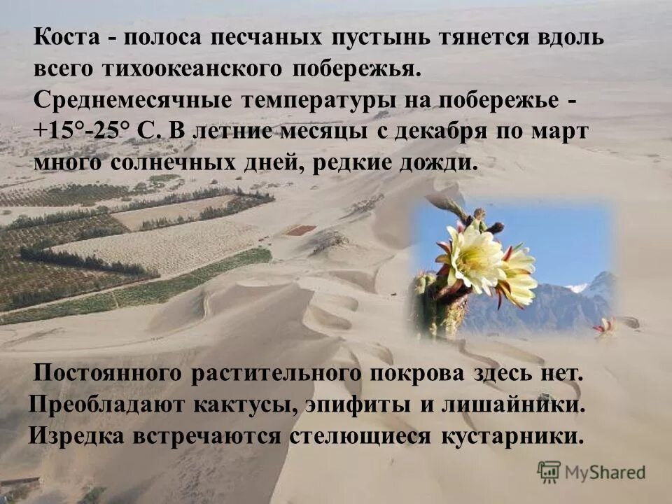 вепсский лес на карте. обе страны протянулись вдоль анд. степи по окружающему миру. проект города россии. простирается вдоль.