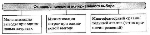 Принцип альтернатив