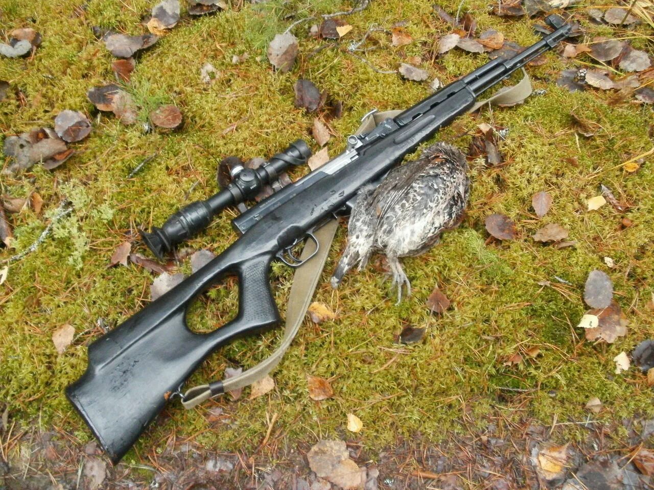 Охотничий скс. Охотничий карабин скс. ружьё охотничье 22lr барсук.