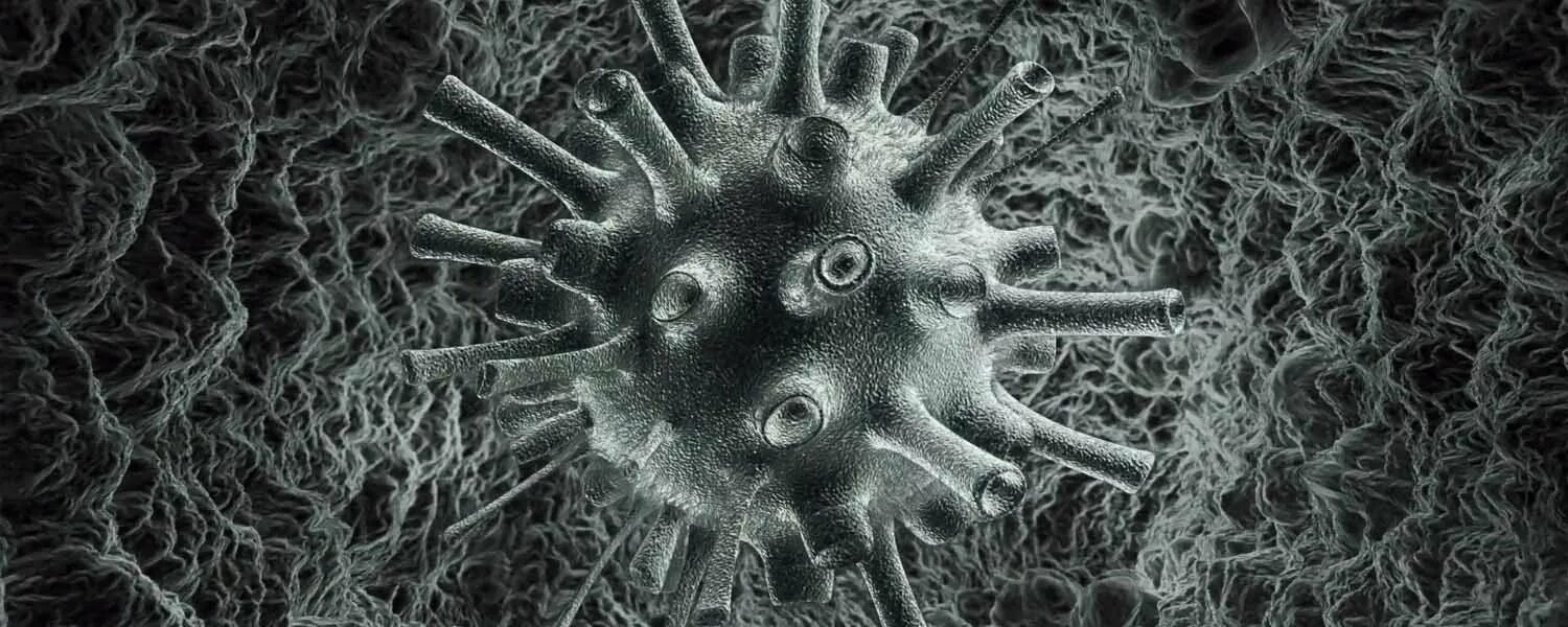 Микрофотографии вирусов. Вирус в электронном микроскопе. Микрофотография вируса вич. Бактериофаг микрофотография. Микрофотографии вирусов.