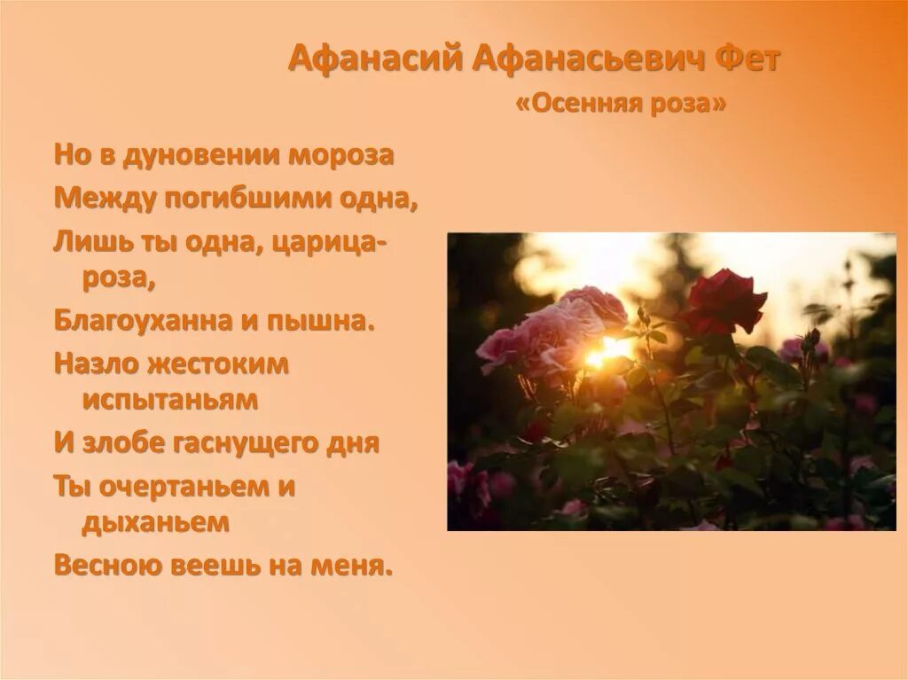 Фет осень. Осенняя роза фет. осенняя роза афанасий афанасьевич фет. стихотворение фета осенняя роза. стих сентябрьская роза фет.