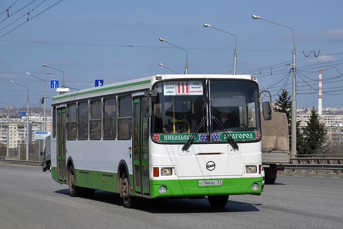 курск маршрут 64. лиаз 5293. автовокзал валуйки. вс 31. вс 31.