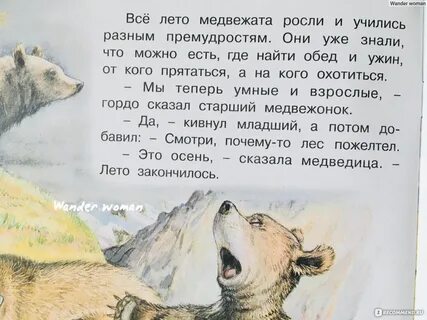 Главная мысль рассказа медведь