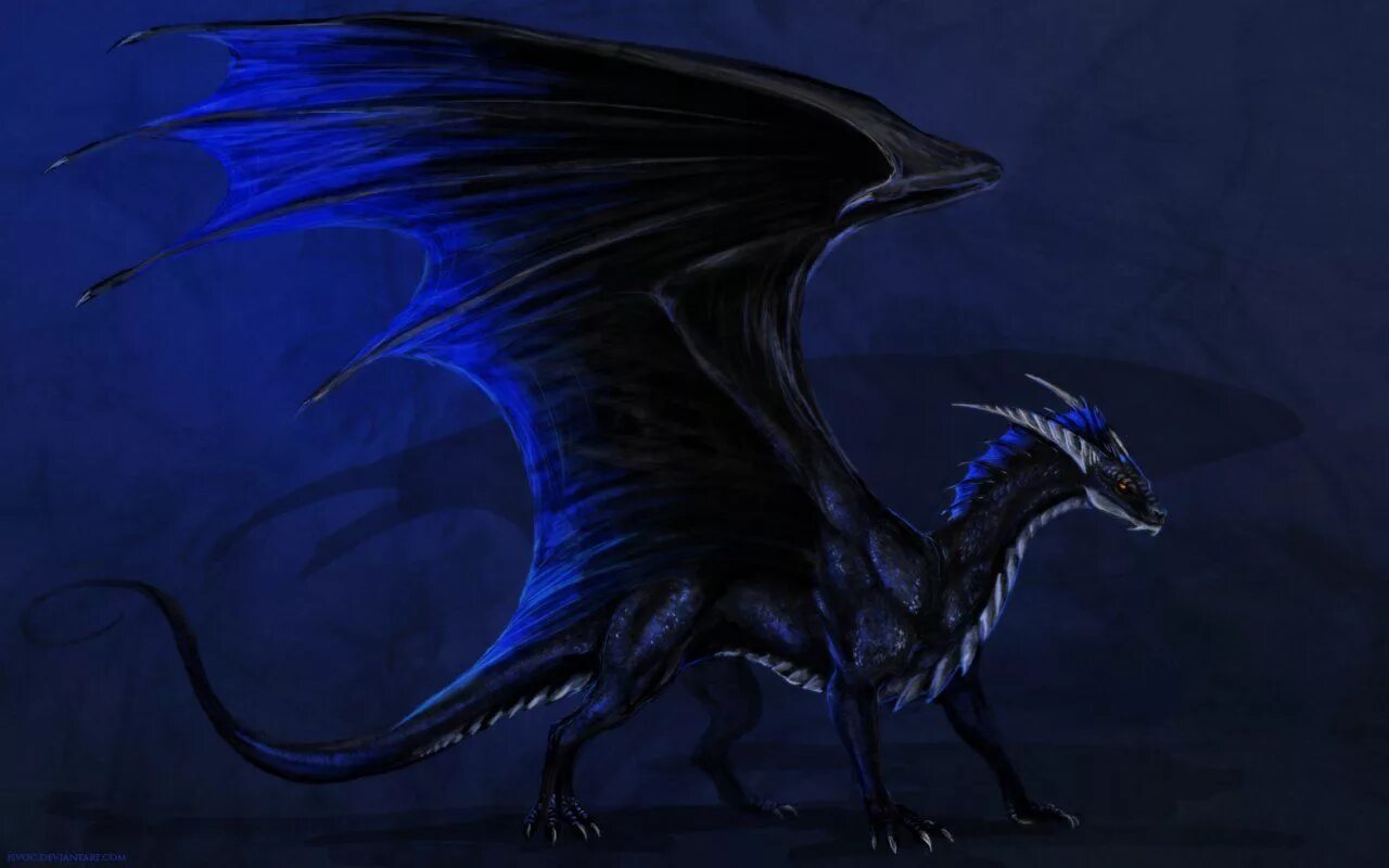 Midnight dragon. Теневой дракон арт. Дракон полуночи. Картинки цветные чтобы нарисовать драконов. Дракон агент арт.