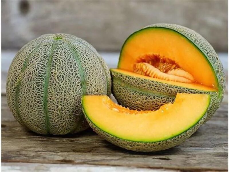 Дыни melon. Дыня Мелон. Дыня Хани Дью. Harvest King дыня. Сочная дыня.