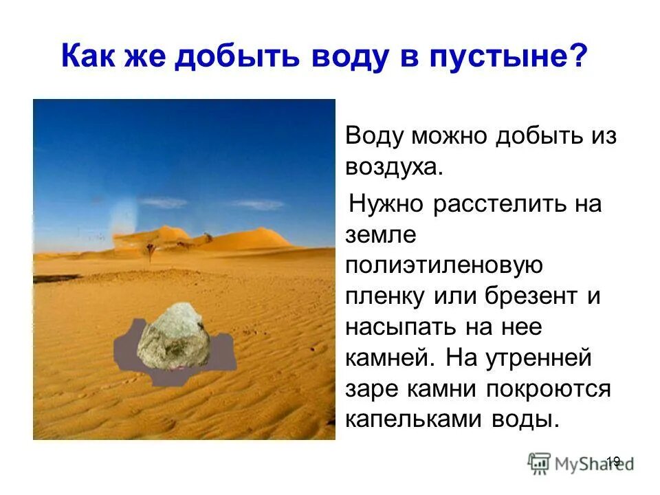 Сколько песок в сахаре. Как добыть воду в пустыне. Вода из воздуха в пустыне. Способы добычи воды в пустыне. Откуда в пустыне вода.