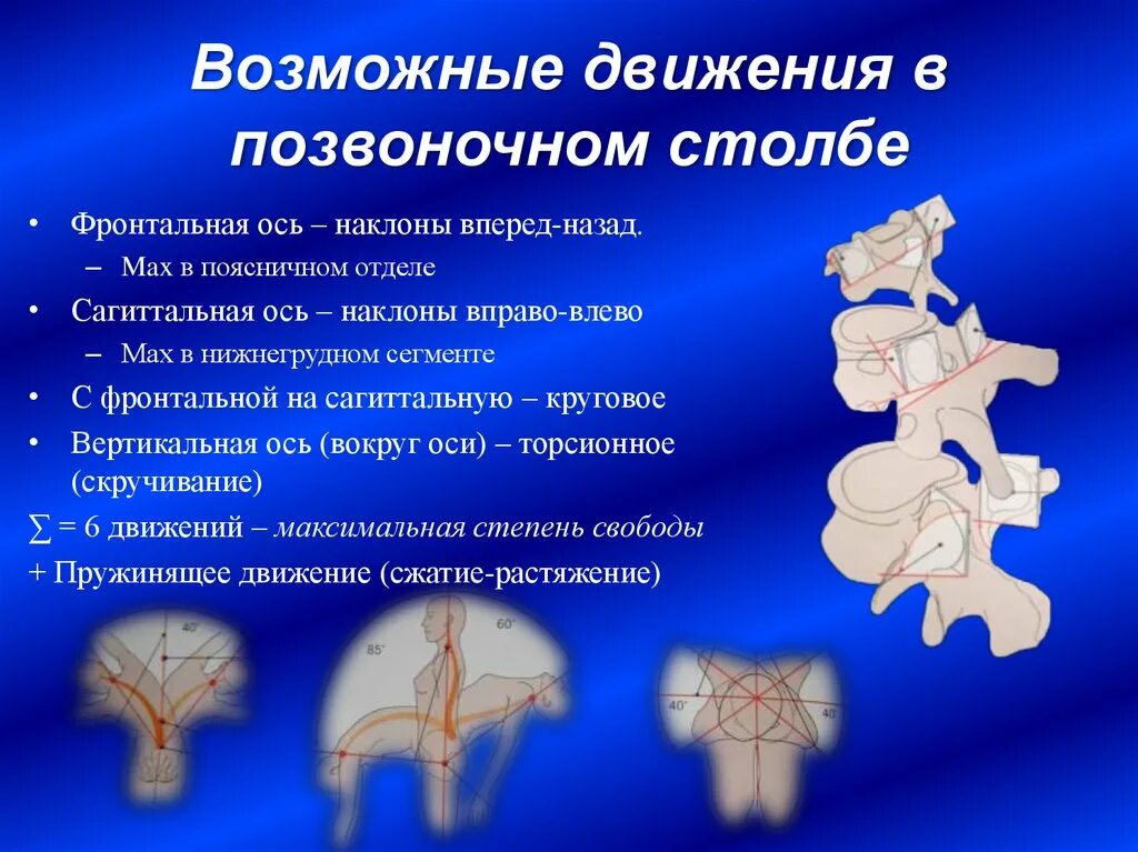 Движения поясничного отдела позвоночника. Движения в позвоночном столбе. Оси движения позвоночного столба. Движения в поясничном отделе позвоночного. Оси и движения в позвоночном столбе.