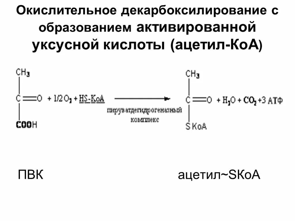 Реакция сжигания уксусной кислоты. Окислительное декарбоксилирование ПВК реакции. Окислительное декарбоксилирование пировиноградной кислоты. Реакция декарбоксилирования пирувата. Декарбоксилирование карбоновых кислот механизм.