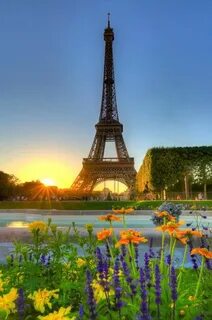 See france