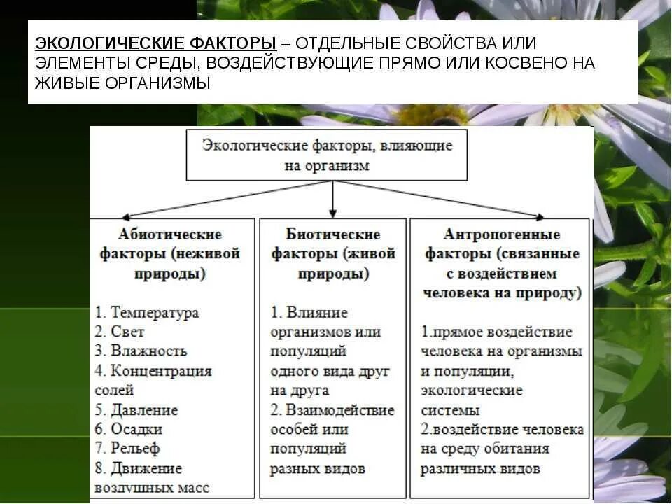 На сколько групп можно разделить все биотические. 5 Класс биология экологические факторы и среда обитания организмов. Этологические факторы. Дэкологические фактор. Экологические факторы влияющие на орг.