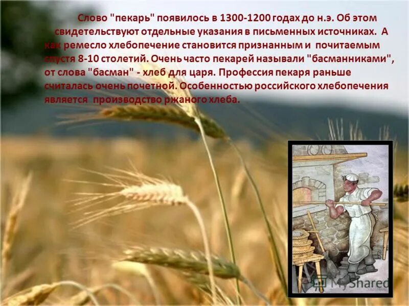 Профессия пекарь для детей 2 класса. Проект профессия пекарь. Презентация на тему пекарь. Профессия пекарь для дошкольников. Сообщение о пекаре.