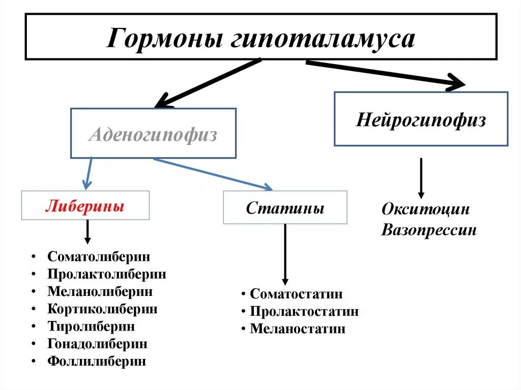 Гормоны гипоталамуса. Гормоны гипоталамуса и гипофиза. Избыток гормона гипоталамуса. Гормоны гипоталамуса либерины и статины. Гипоталамус гормоны и функции таблица.