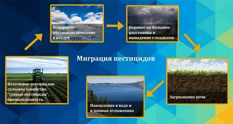 Экологическая роль удобрений