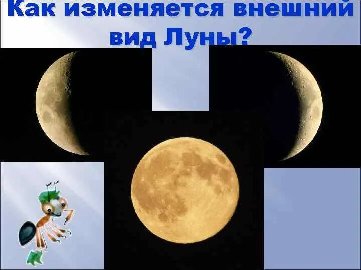 Как изменится внешнее