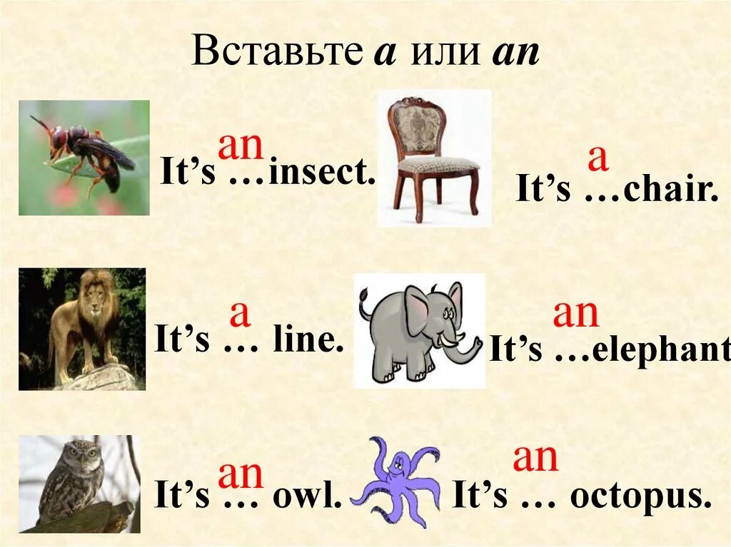 Или. Впиши артикль a или an Octopus. Впиши a или an. Артикли задания для детей.