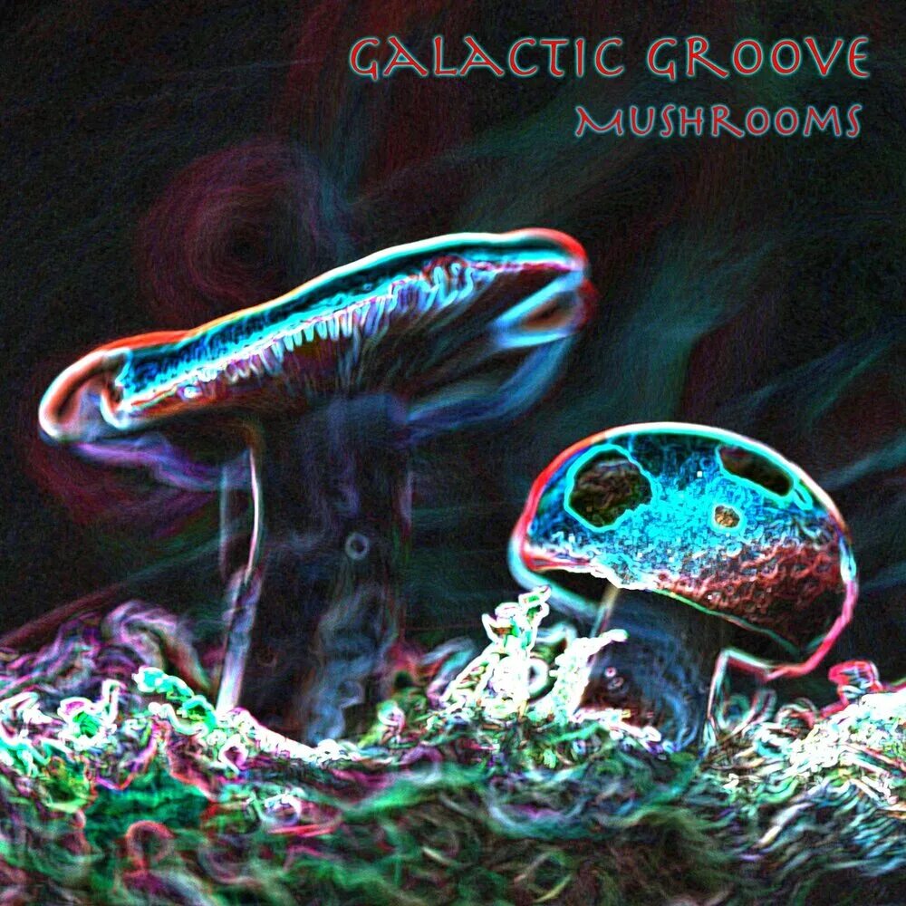 Galaxy Mushroom. Mushroom Music. Mushrooms песня. Машрум слушать. Mushroom слушать