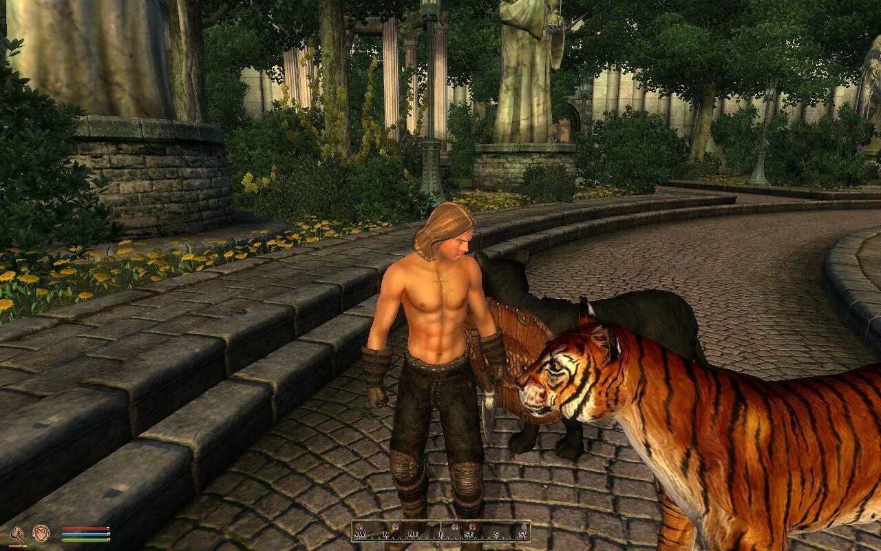 The elder scrolls oblivion моды. Вилья обливион. Обливион игра. Oblivion моды. Мод компаньон обливион.