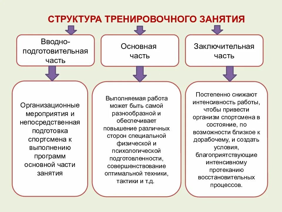 Проверка тренировочных занятий