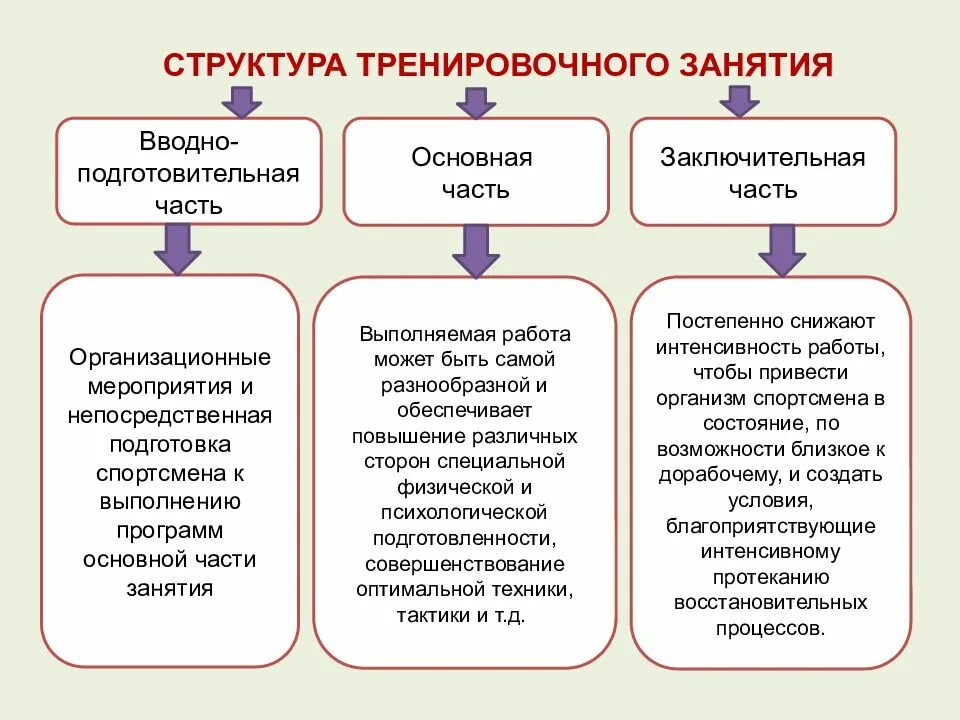 Структура тренировочного занятия. Структура отдельного тренировочного занятия. Структура учебно-тренировочного занятия. Структура самостоятельных тренировочных занятий. Части тренировки по времени