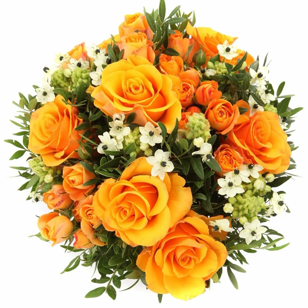 Оранжевые розы букет. 75 Оранжевых роз "вау". Букет оранжевых цветов