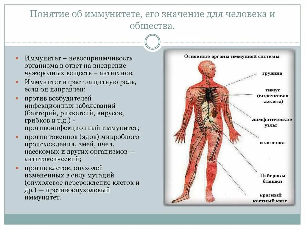 Что значит иммунная