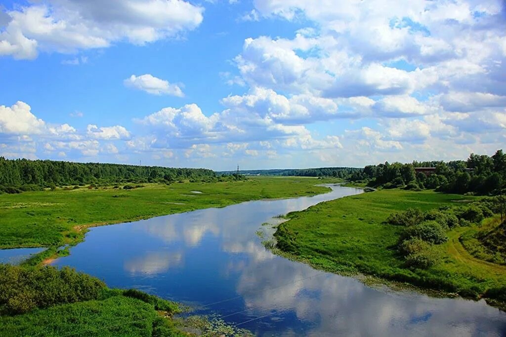 Река Луга в Ленинградской области. Пойменные Луга реки Колокша. Равнинные реки России. Излучина реки Луга.