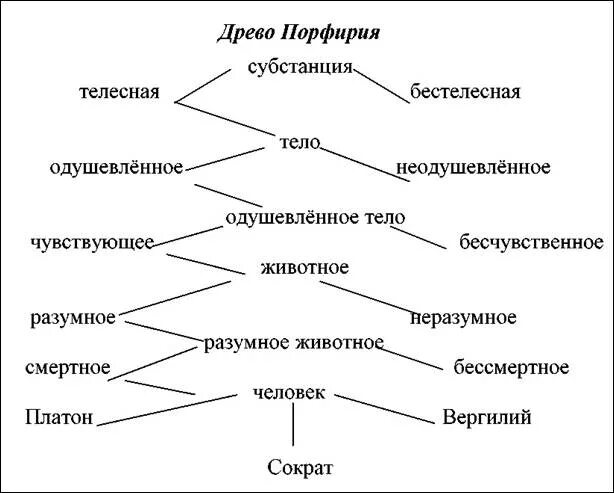 Древо понятий. Древо Порфирия схема. Дерево Порфирия логика. Древо Порфирия Боэций.