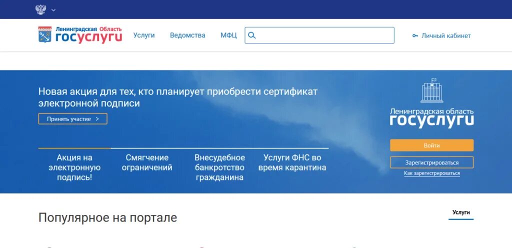 Сайт госуслуг ленинградской. Госуслуги Ленинградской области. Электронный магазин ЛО. Электронный магазин Ленинградской области. Электронный магазин Ленинградской.