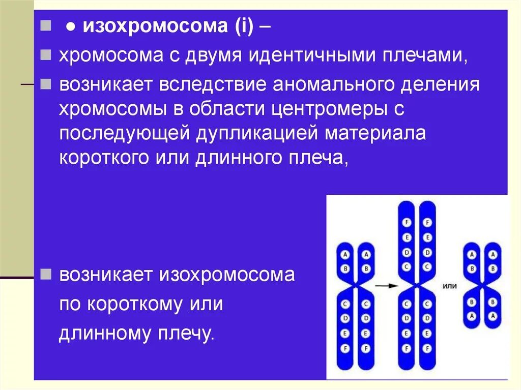 Кольцевая хромосома 2. Изохромосомы. Кольцевая хромосома. Хромосома и изохромосома. Две хромосомы.