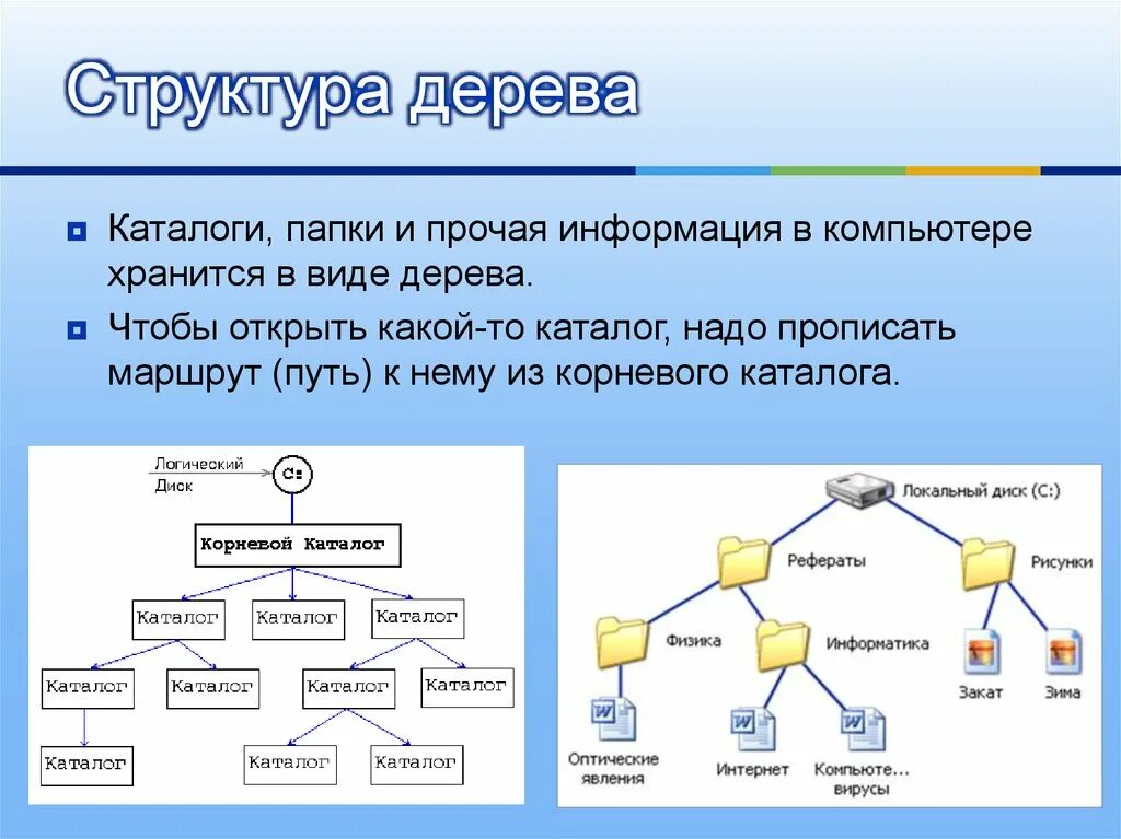 Каталог и подкаталог. Структура дерева каталогов. Дерево каталогов Информатика. Дерево каталогов компьютера.